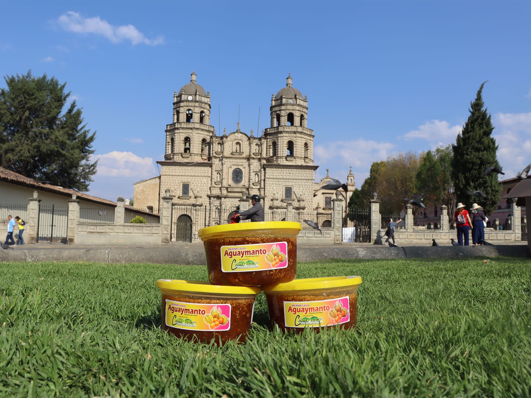 Mermelada de Aguaymanto 450 gramos