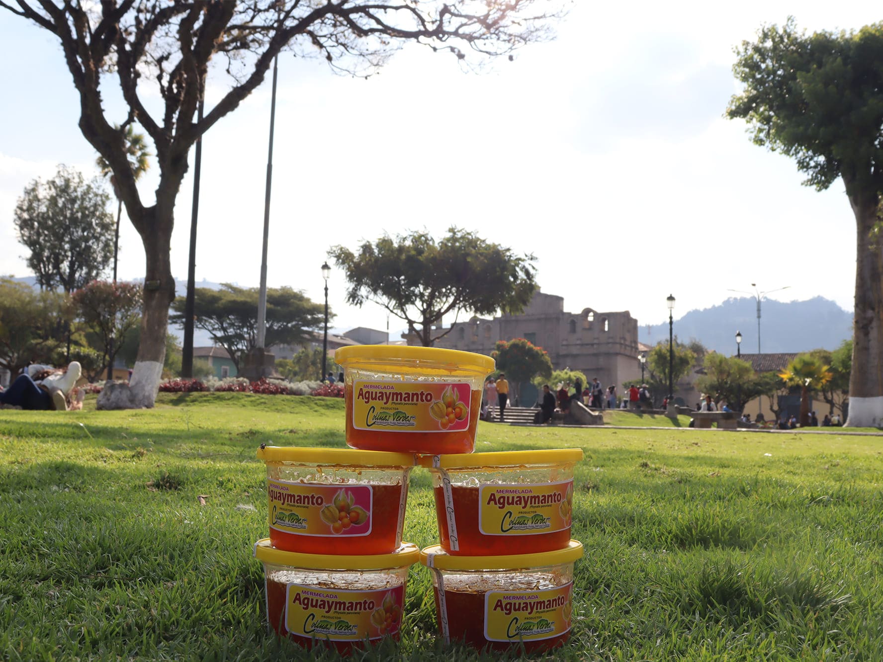 Mermelada de Aguaymanto 250 gramos