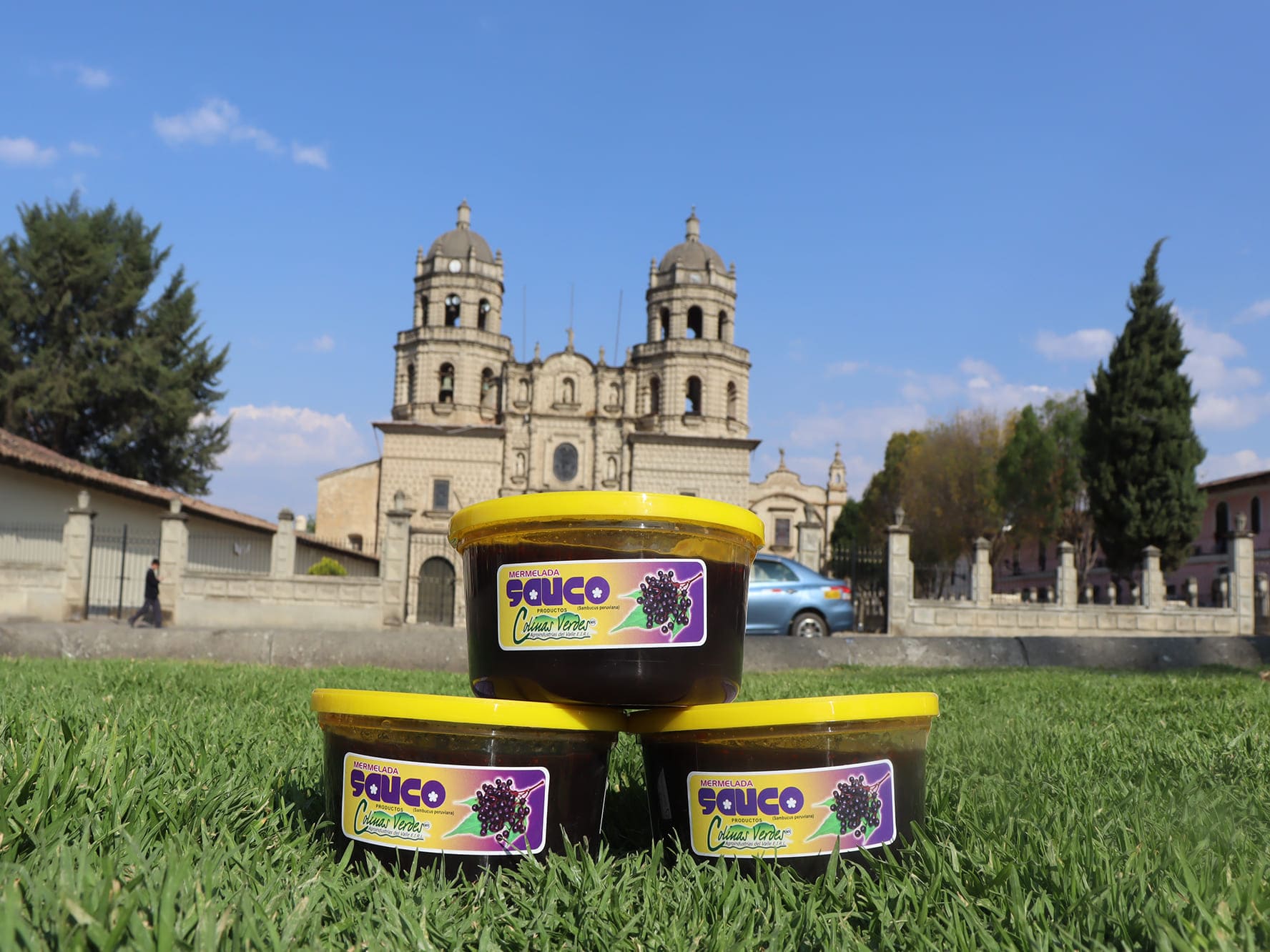 Mermelada de Sauco 450 gramos