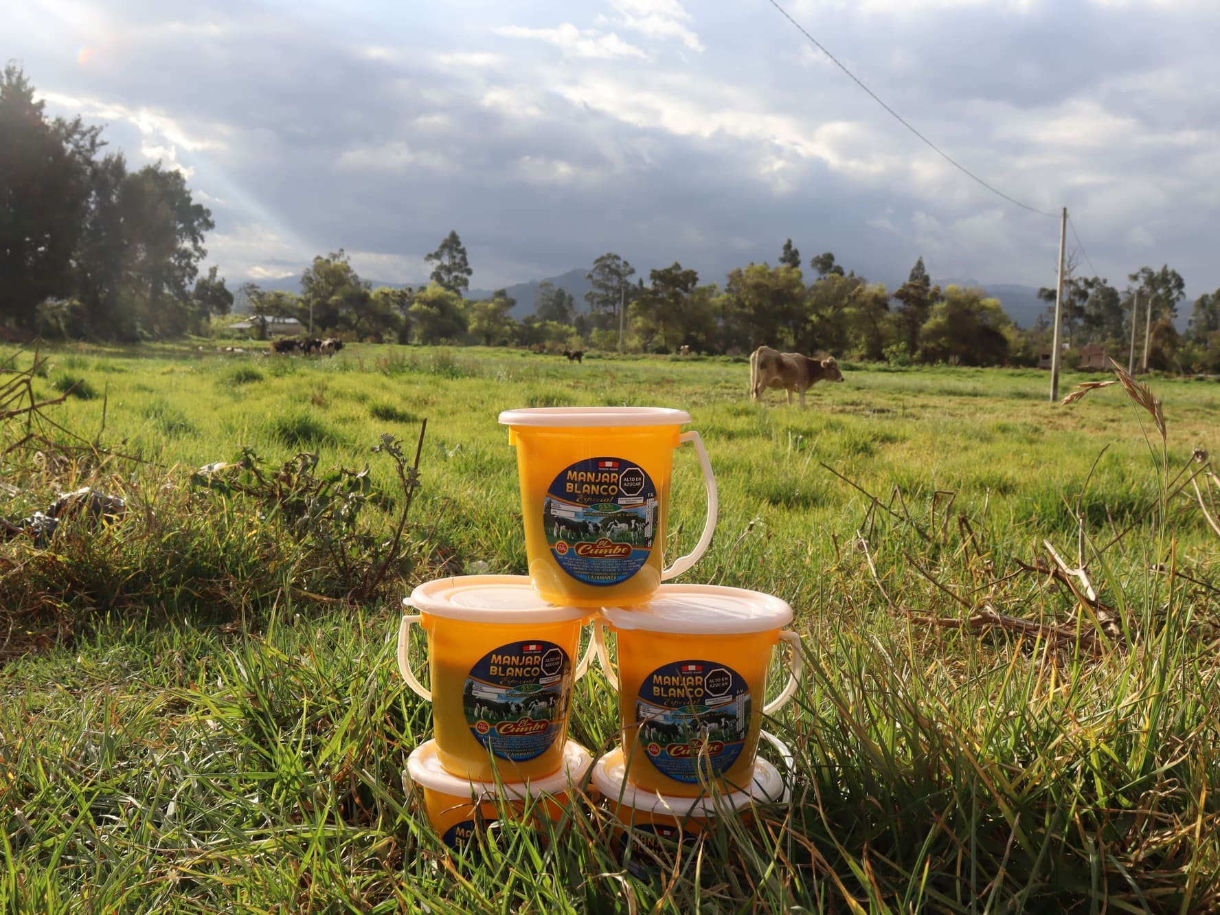 manjar blanco medio kilo