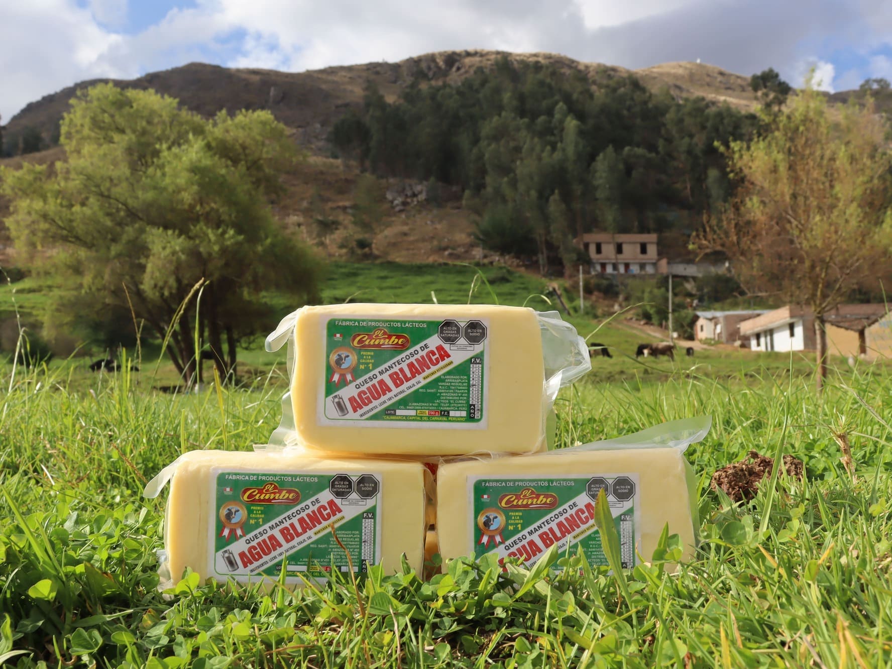 queso mantecoso 700 gramos