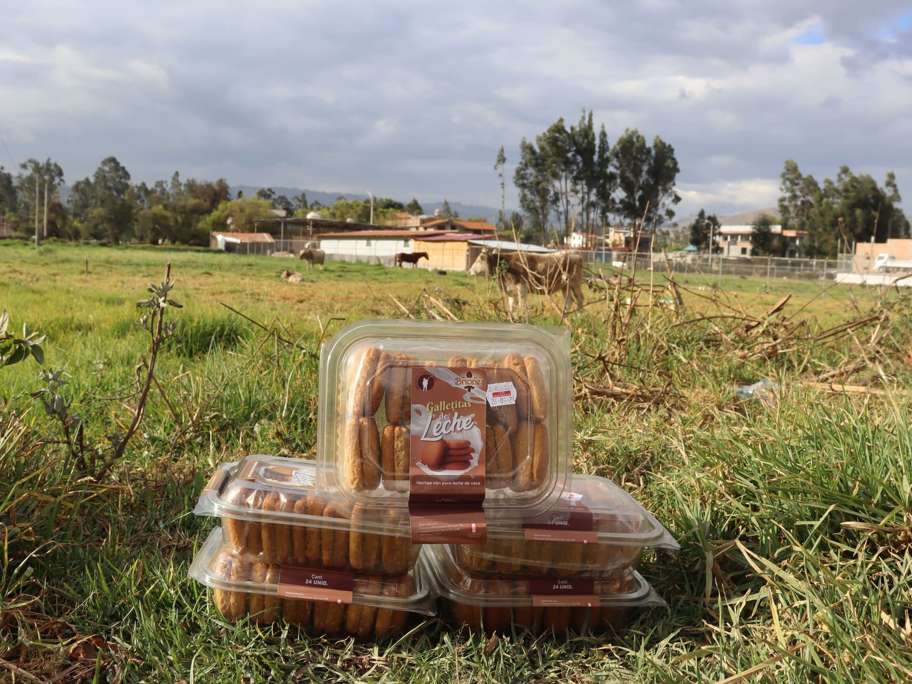 Galletas de Leche Taper 500 gramos